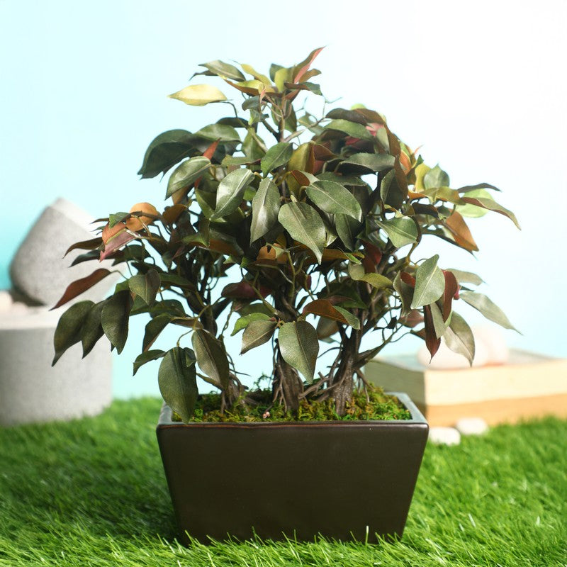 1.1 ft Red Ficus Artificial Bonsai Plant With Ceramic Pot 1.1 Feet