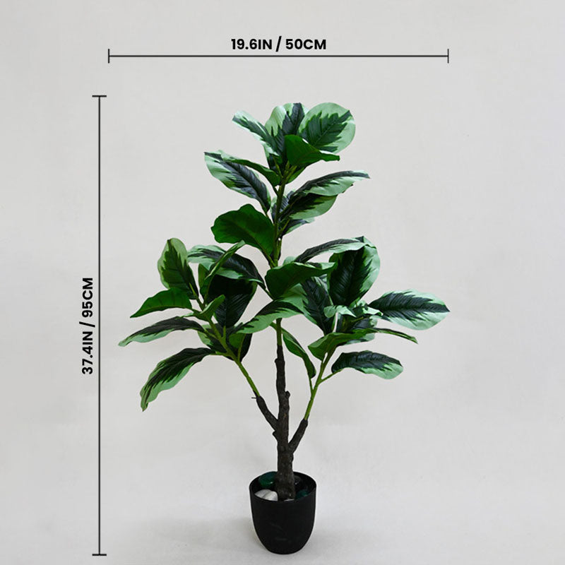 Faux Everlasting Fiddle Fig Plant With Black Plastic Pot - 95 cm (3.1 ft) media 4