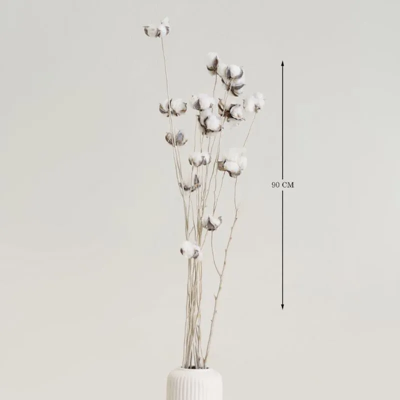 Cuzi Dried Cotton Stick (White) - Set Of Fifteen Pods media 4