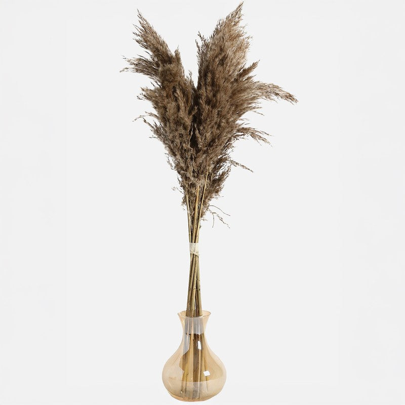 Artificial Rustic Pampas Stem - Set Of Five media 7