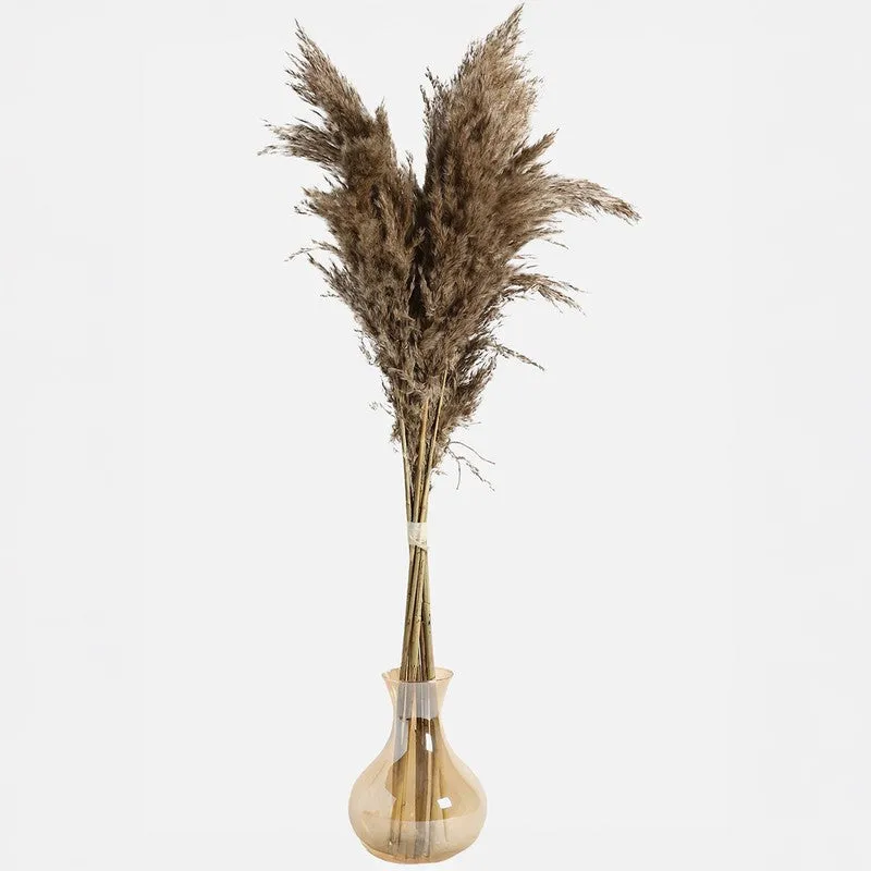 Artificial Rustic Pampas Stem - Set Of Five media 7