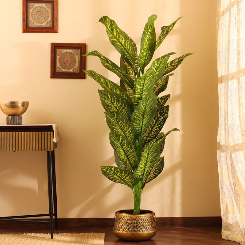 Artificial Dieffenbachia Plant With Black Plastic Pot 5.5 ft
