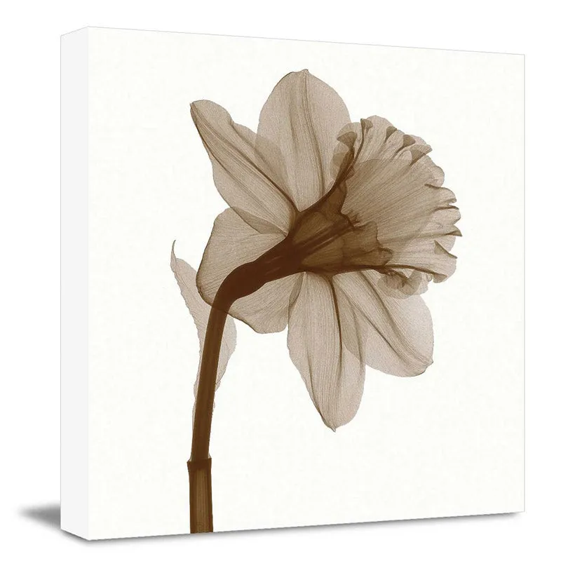 Coffey Floral Wall Art media 3