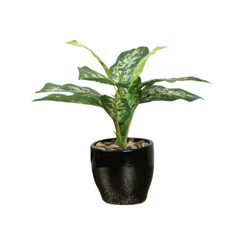 Artificial Yellow Dieffenbachia Bonsai Plant With Ceramic Pot - 0.7 Feet media 3