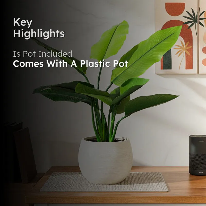 Artificial Banana Plant With Black Plastic Pot - 1 Feet media 2