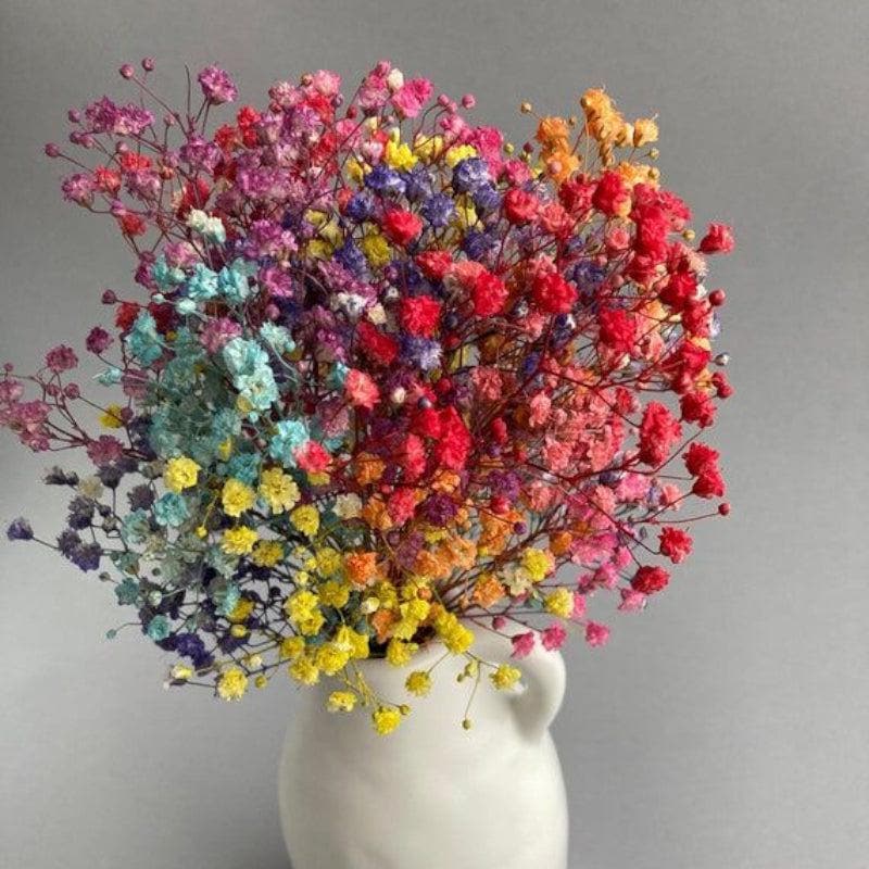 Dried Flowers & Leaves