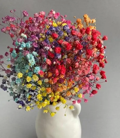 Dried Flowers & Leaves