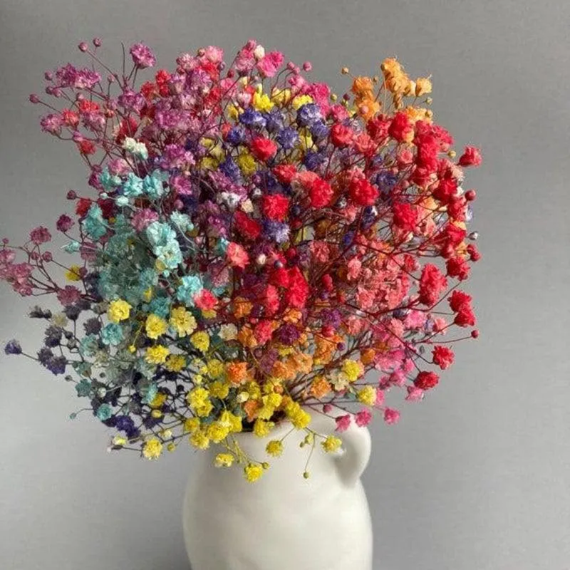 Baby Breath Gypsophila Dried Flower Stems - Set Of Seven media 1