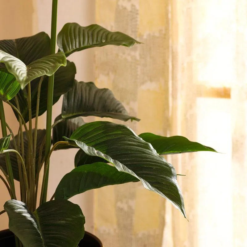 Artificial Realistic Peace Lily Plant With Black Plastic Pot - 2.5 Feet media 6