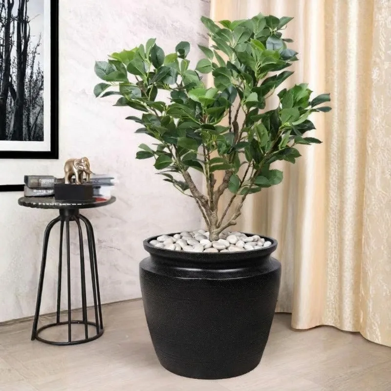 Black planter holding a leafy plant in a contemporary living room