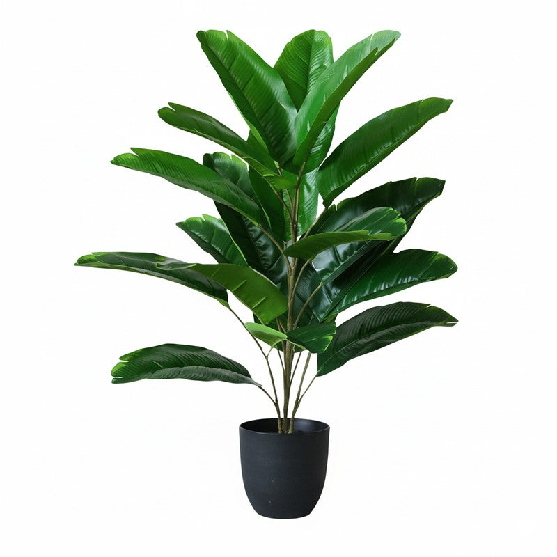Faux Evergreen Birds of Paradise Plant With Black Plastic Pot - 79 cm (2.6 ft) media 4