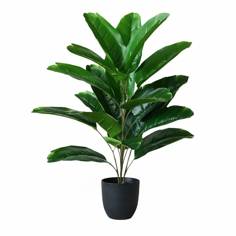 Faux Evergreen Birds of Paradise Plant With Black Plastic Pot - 79 cm (2.6 ft) media 4