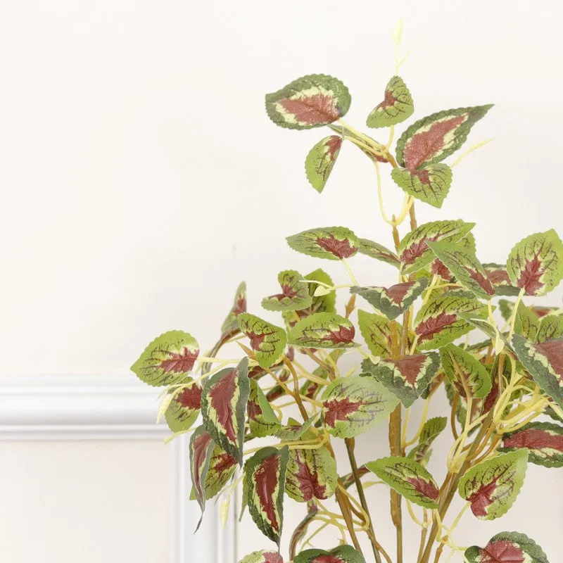 Close-up view of green and red artificial Coleous leaves