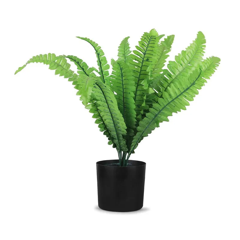 Fernex Artificial Plant With Plastic Pot - 1.5 Feet media 3