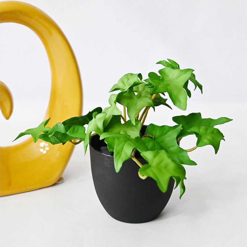 Ivella Artificial Mini Ivy Plant With Basic Black Plastic Pot - 14 cm media 3