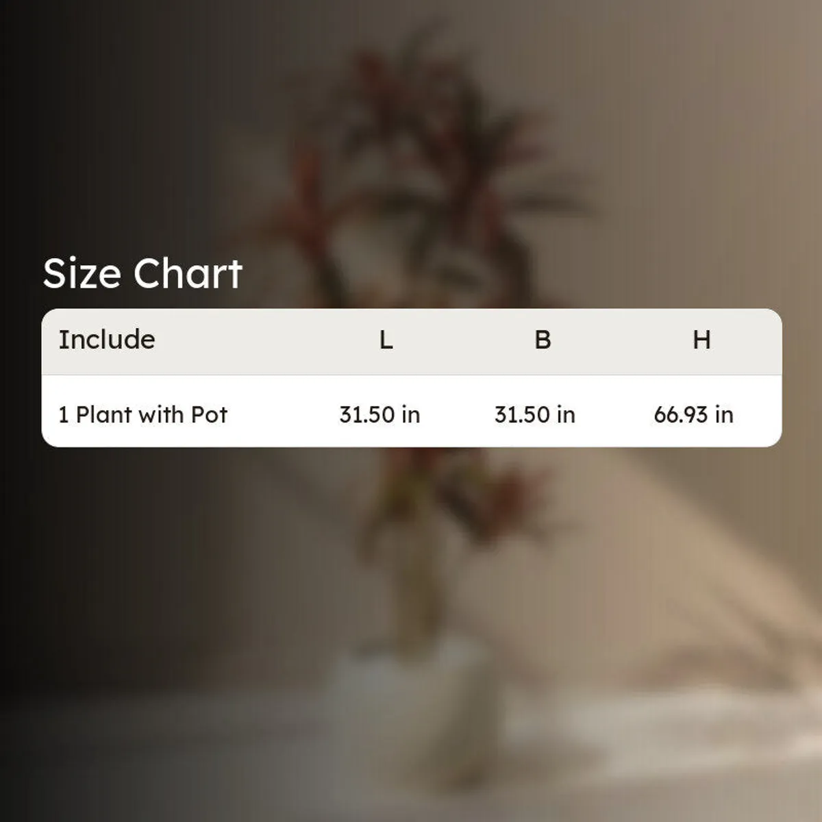 Product size chart graphic showing an artificial plant with pot.