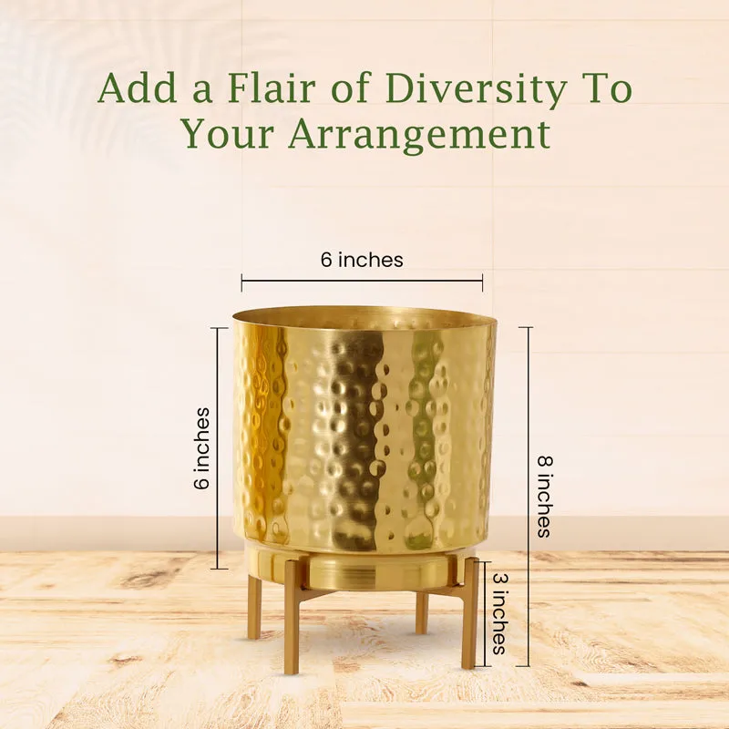 Vida Ember Golden Planter with Stand media 5