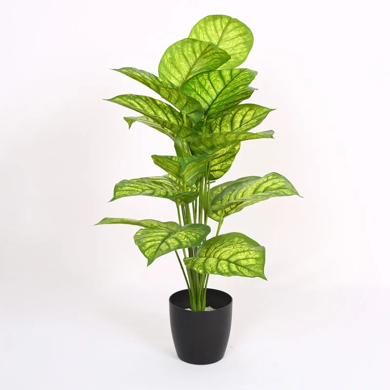 Calena Artificial Caladium With Black Plastic Pot - Green media 6