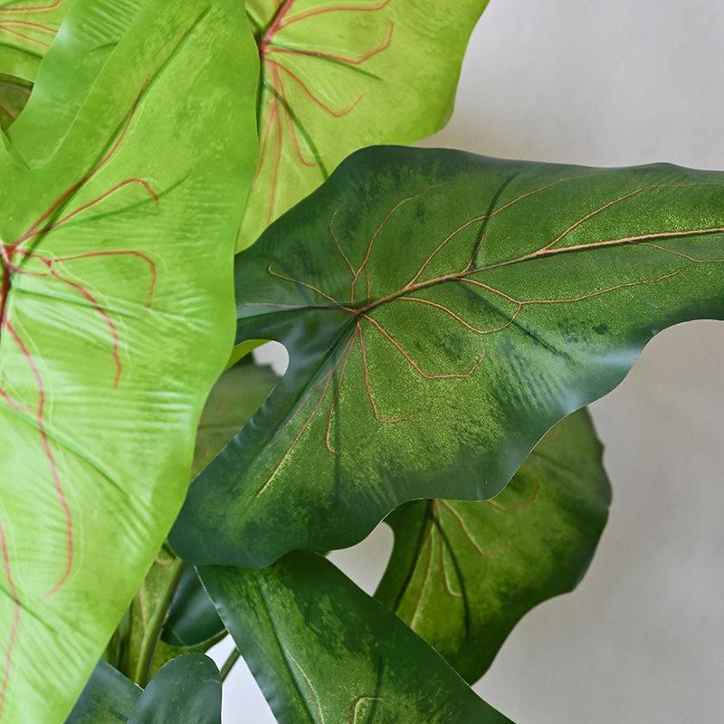 Faux Everlasting Muffet Caladium Plant With Black Plastic Pot - 79 cm (2.6 ft) media 4