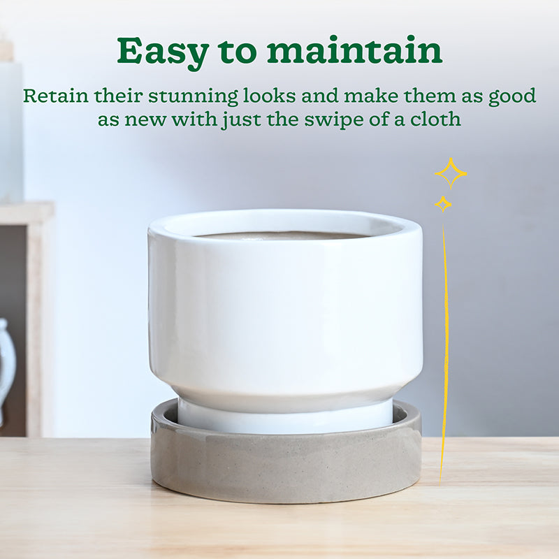 Ugaoo Pot-fection Ceramic Planter - White media 5
