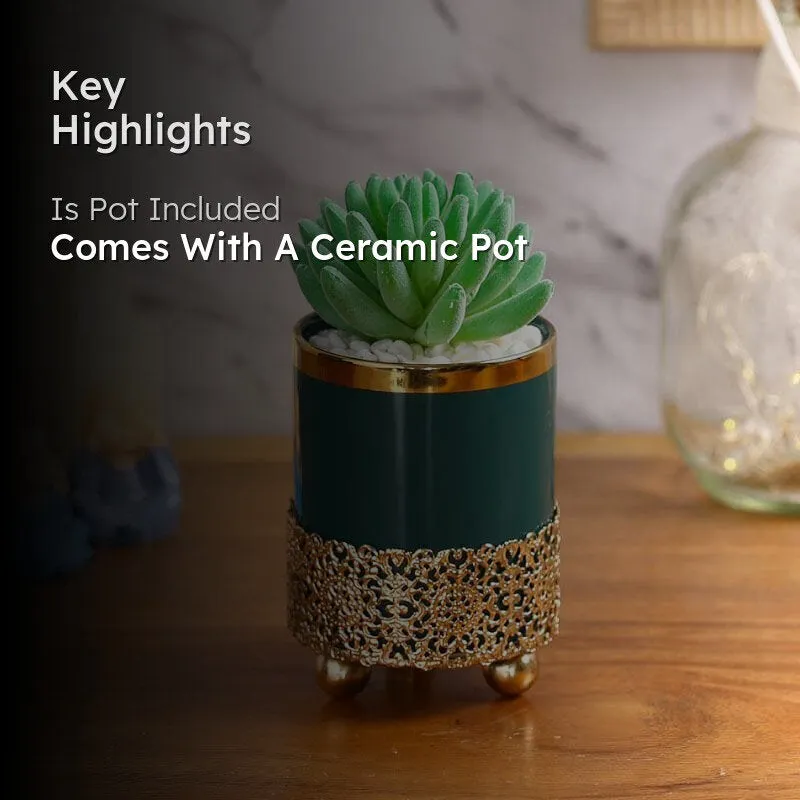 Faux Big Gasteria In Blue Ceramic Pot - 15.5 cms media 2