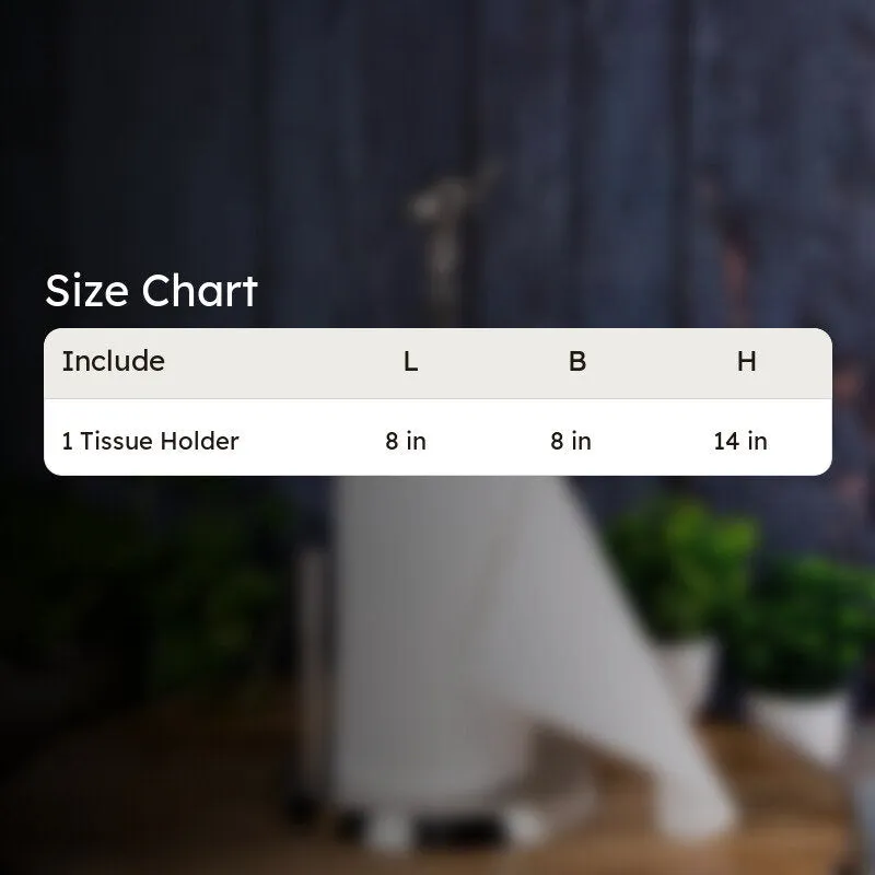 Holpa Tissue Holder media 5