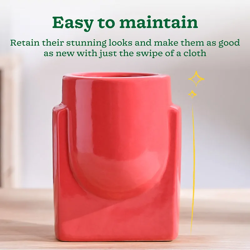Ugaoo Minimalica Ceramic Planter - Red media 4