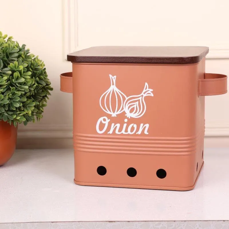 Ferrous Fun Rectangle Onion Iron Box - 10 L media 1