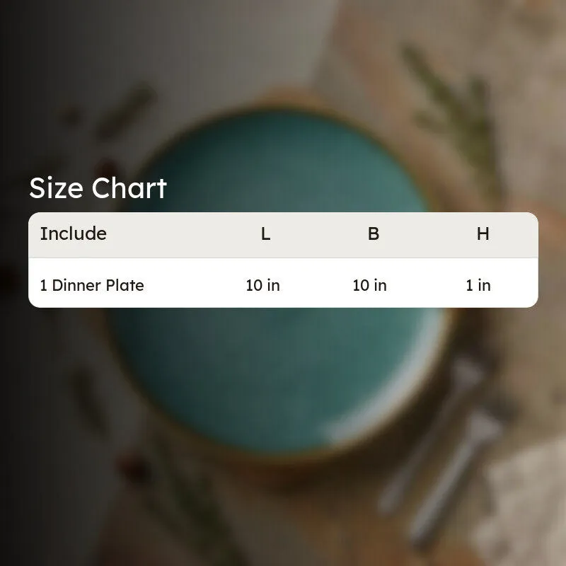 DishLayer Ceramic Dinner Plate media 8
