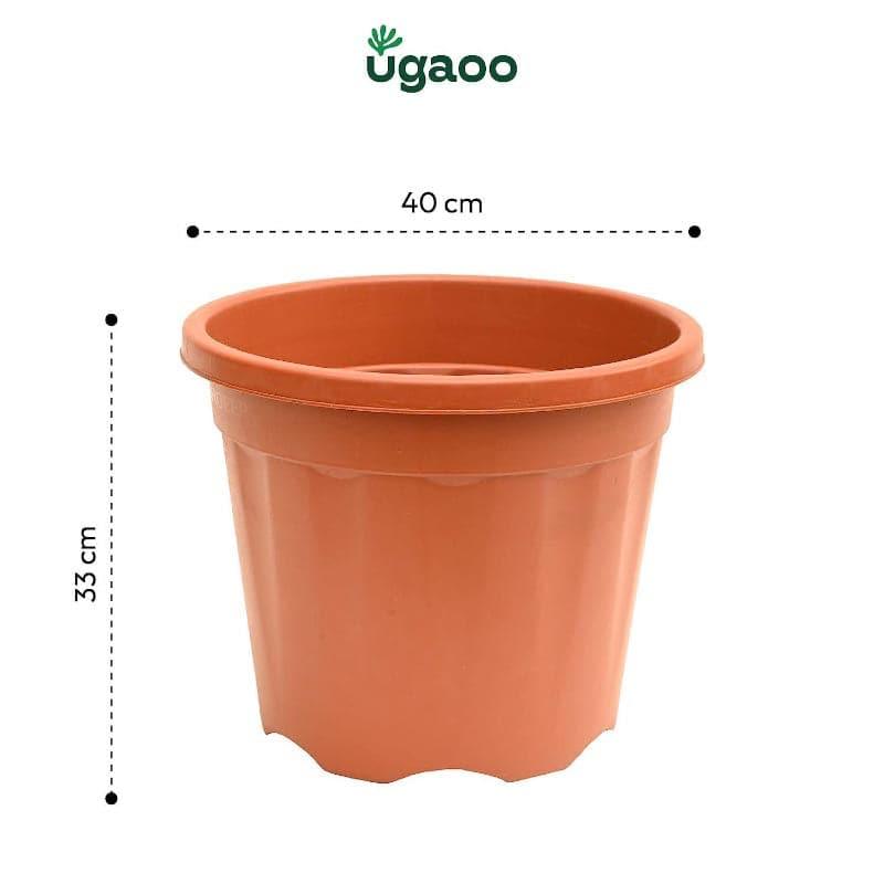 Ugaoo UV Treated Brown Plastic Pot (40 CM) - Set Of Three media 5