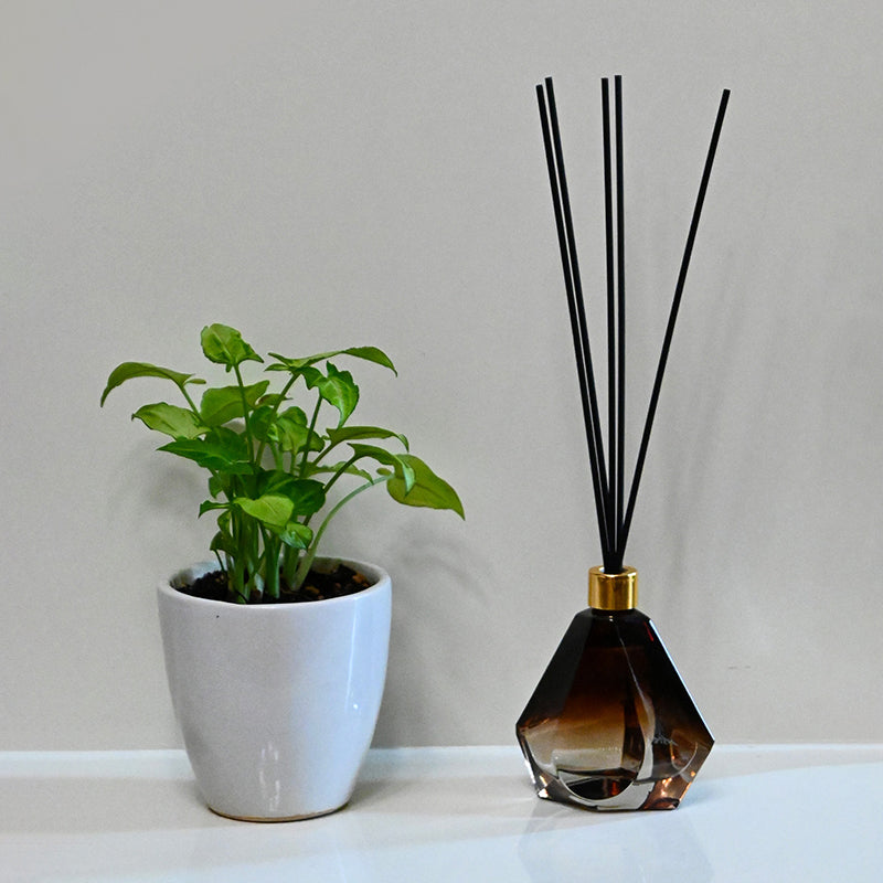 Aura Of Mysticism Reed Diffuser media 3