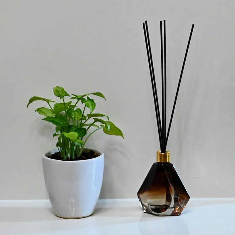 Aura Of Mysticism Reed Diffuser media 3