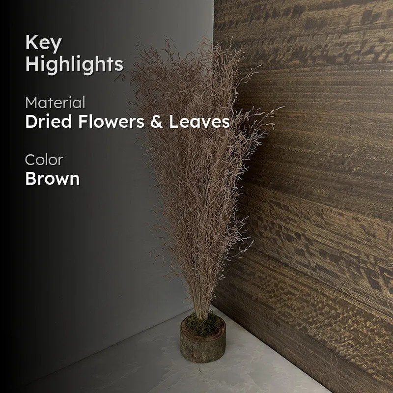 Field Fade Dried Grass - Brown media 2