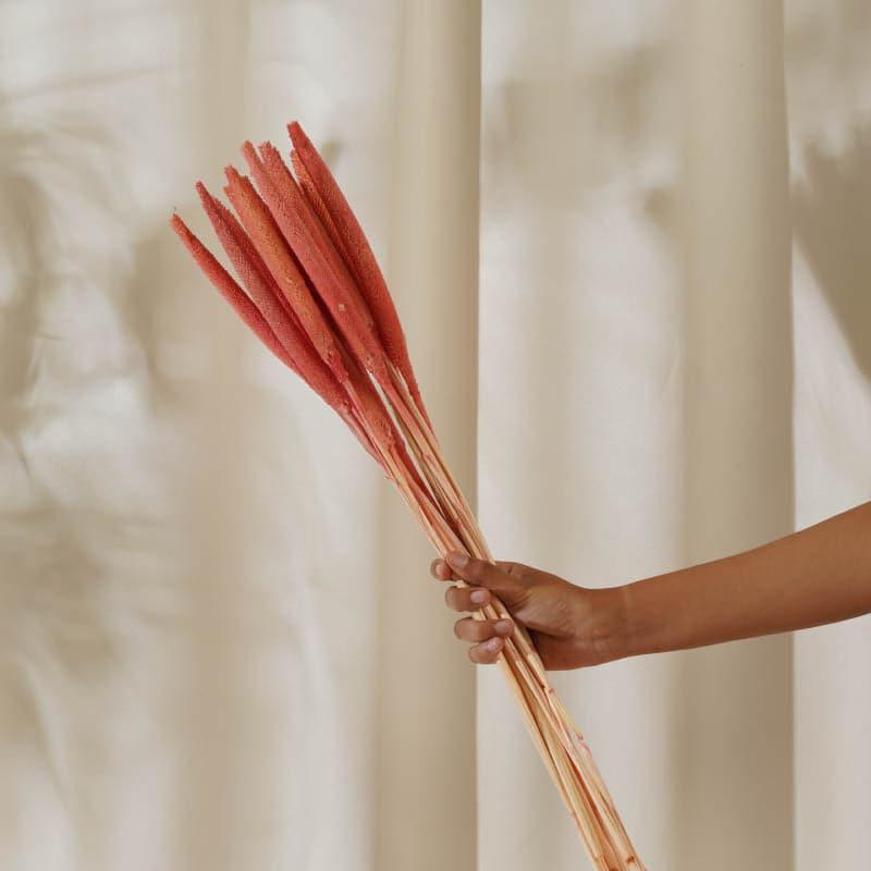 Dried Bajra Stems (2.46 ft) - Pink media 3