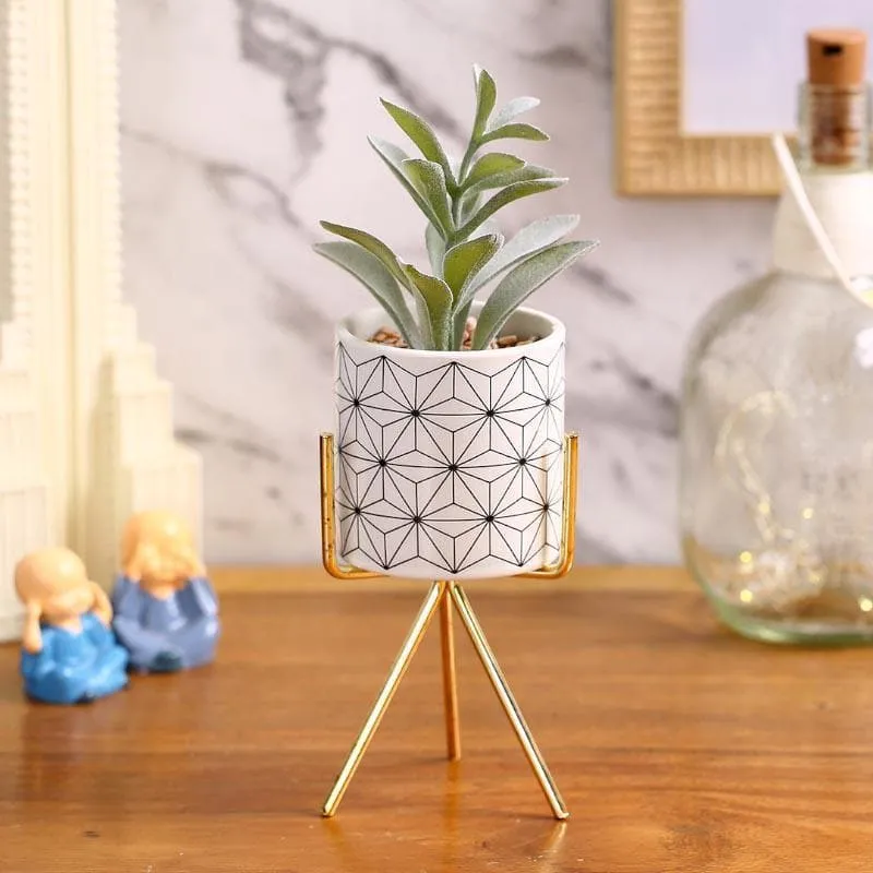 Faux Succulent In Minimalist Pot With Tripod - 23.5 cms media 1