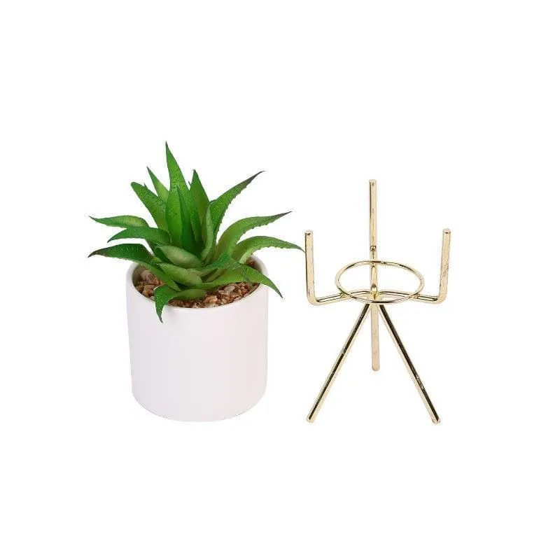 Faux Aloe Vera In White Pot With Tripod (22.5 cms) - Big media 4