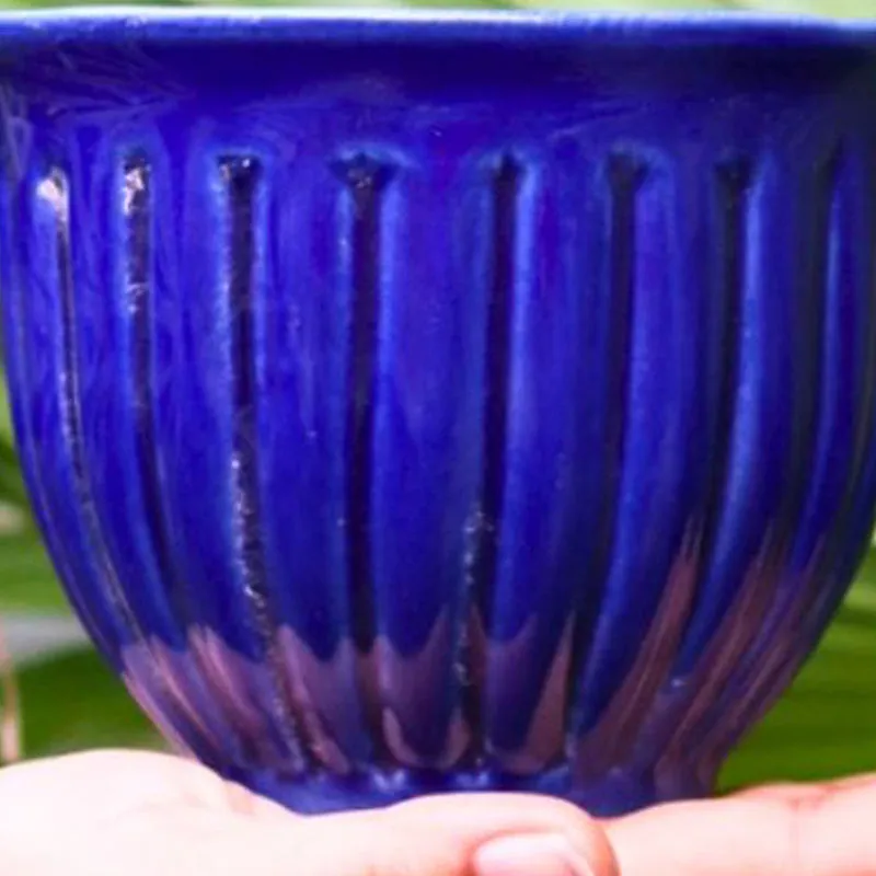 Silvia Ceramic Planter media 3
