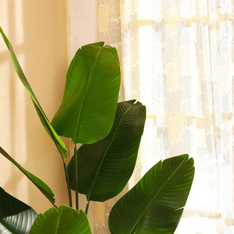 Artificial Realistic Banana Plant With Black Plastic Pot - 5.2 Feet media 4
