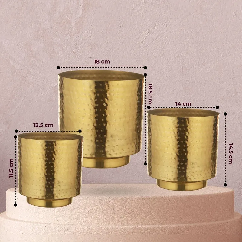 Flora Haven Glow Planter - Set Of Three media 9