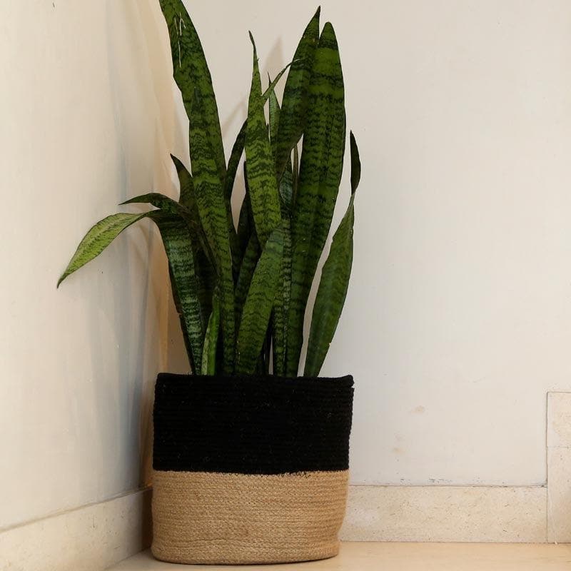 Organic Oasis Jute Planter media 5