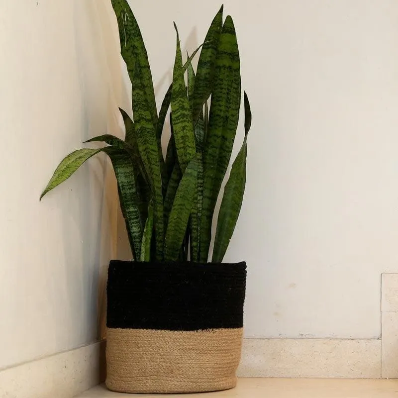 Organic Oasis Jute Planter media 5