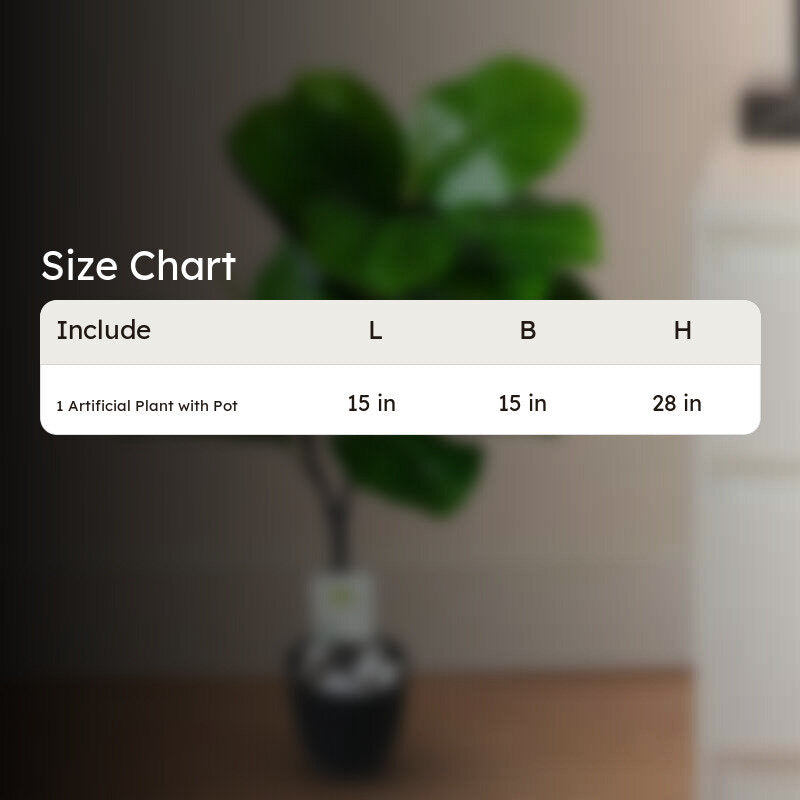 Faux Decorative Fiddle Fig Plant With Pot - 71 cm (2.3 ft) media 4