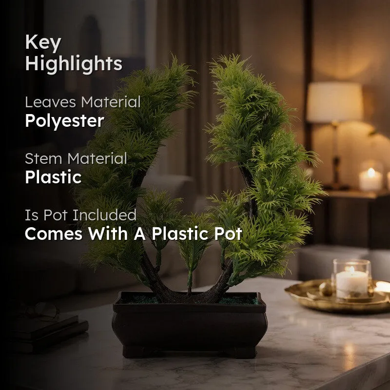 Vibora Bonsai Artificial Plant With Plastic Pot - 0.8 Feet media 2