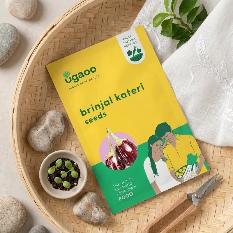 Ugaoo Brinjal Kateri Seeds media 1