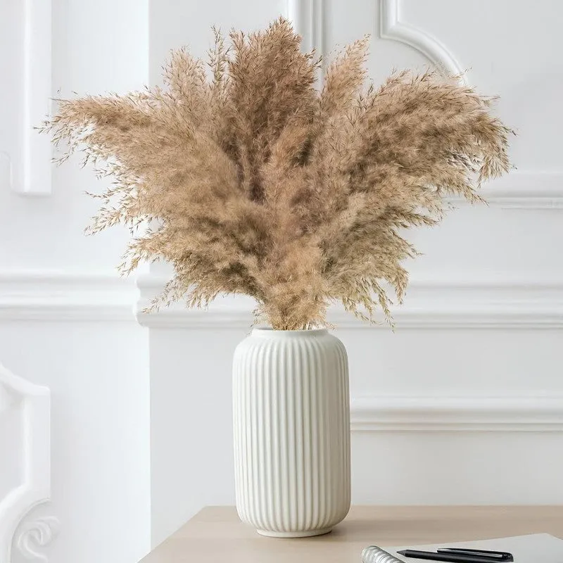 Savannah Artificial Pampas Stem (Brown) - Set Of Four media 1