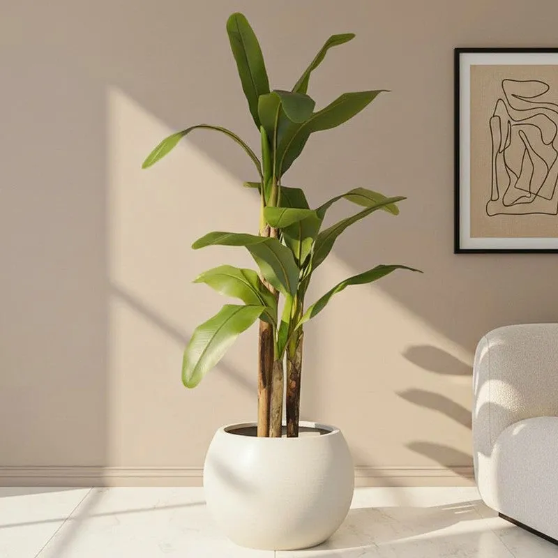 Artificial Banana Plant With Black Fiber Pot - 4.9 Feet media 1