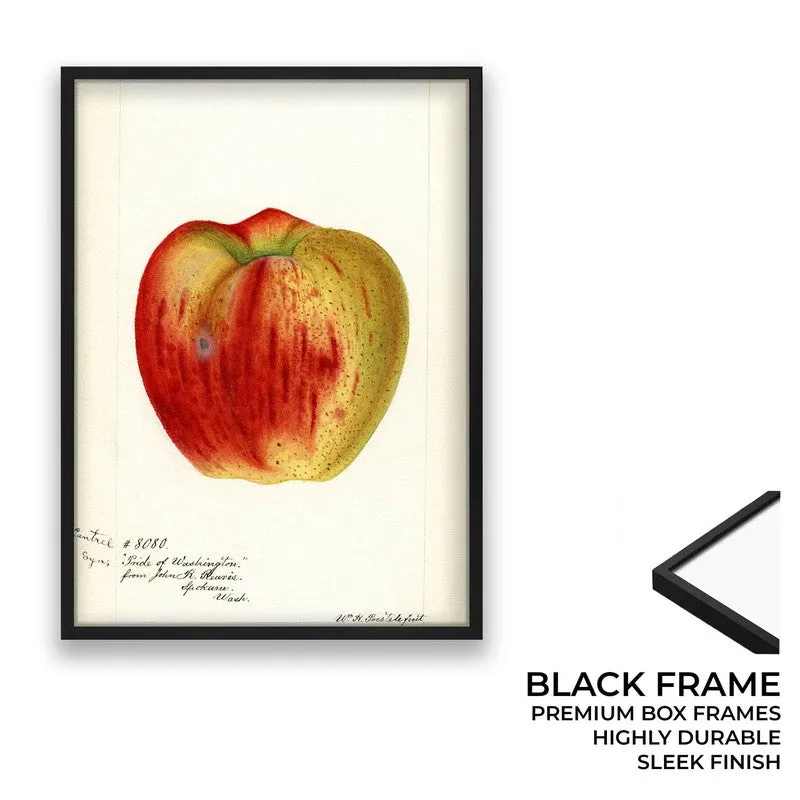AppleHue Archival Canvas Wall Art - Black media 8