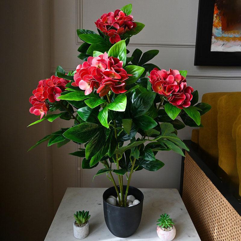 Faux Everlasting Hydrangea Plant With Black Plastic Pot (Red & Green) - 76 cm (2.5 ft) media 3