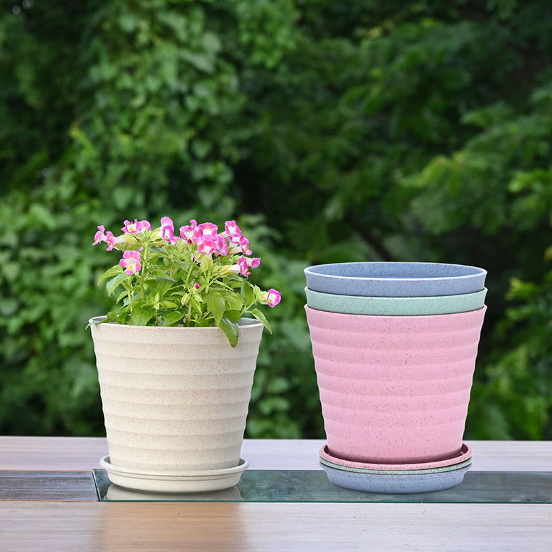 Botani Basin Pot - Set Of Four image 2