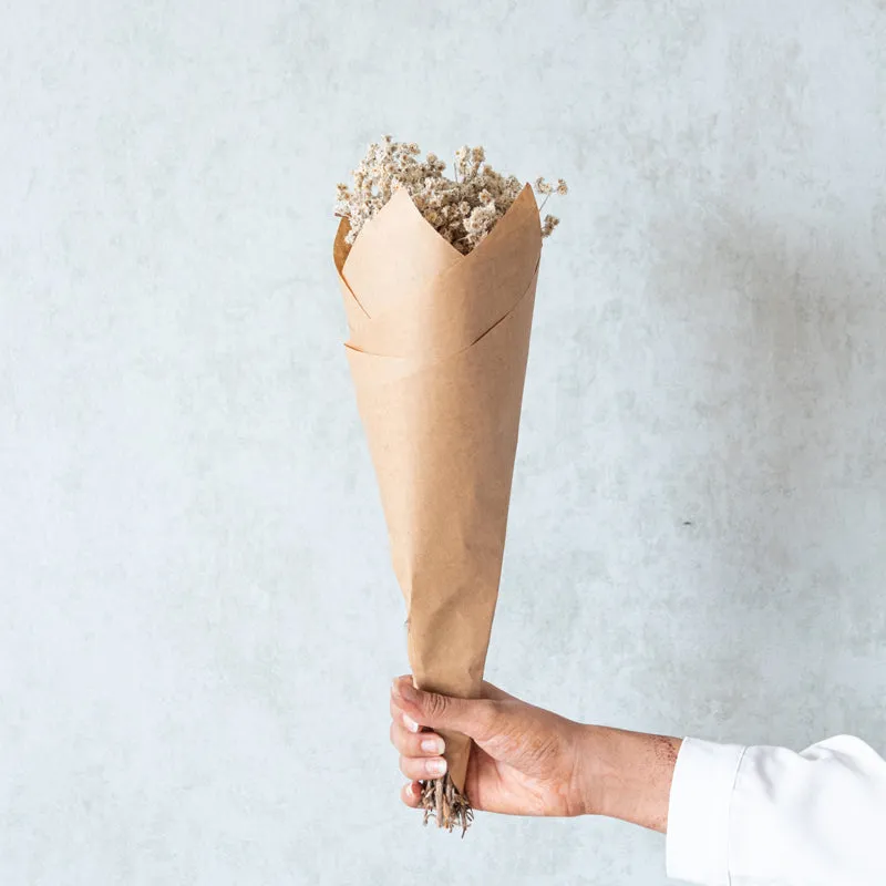 Gypsophila Charm Dried Flower Bunch media 5